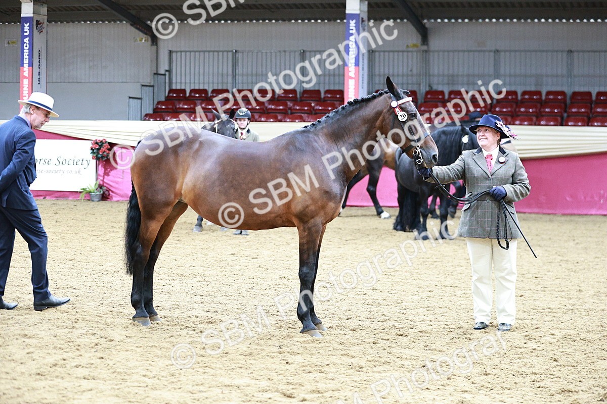 SBM_00924 - Class 2A - Area IH Veteran