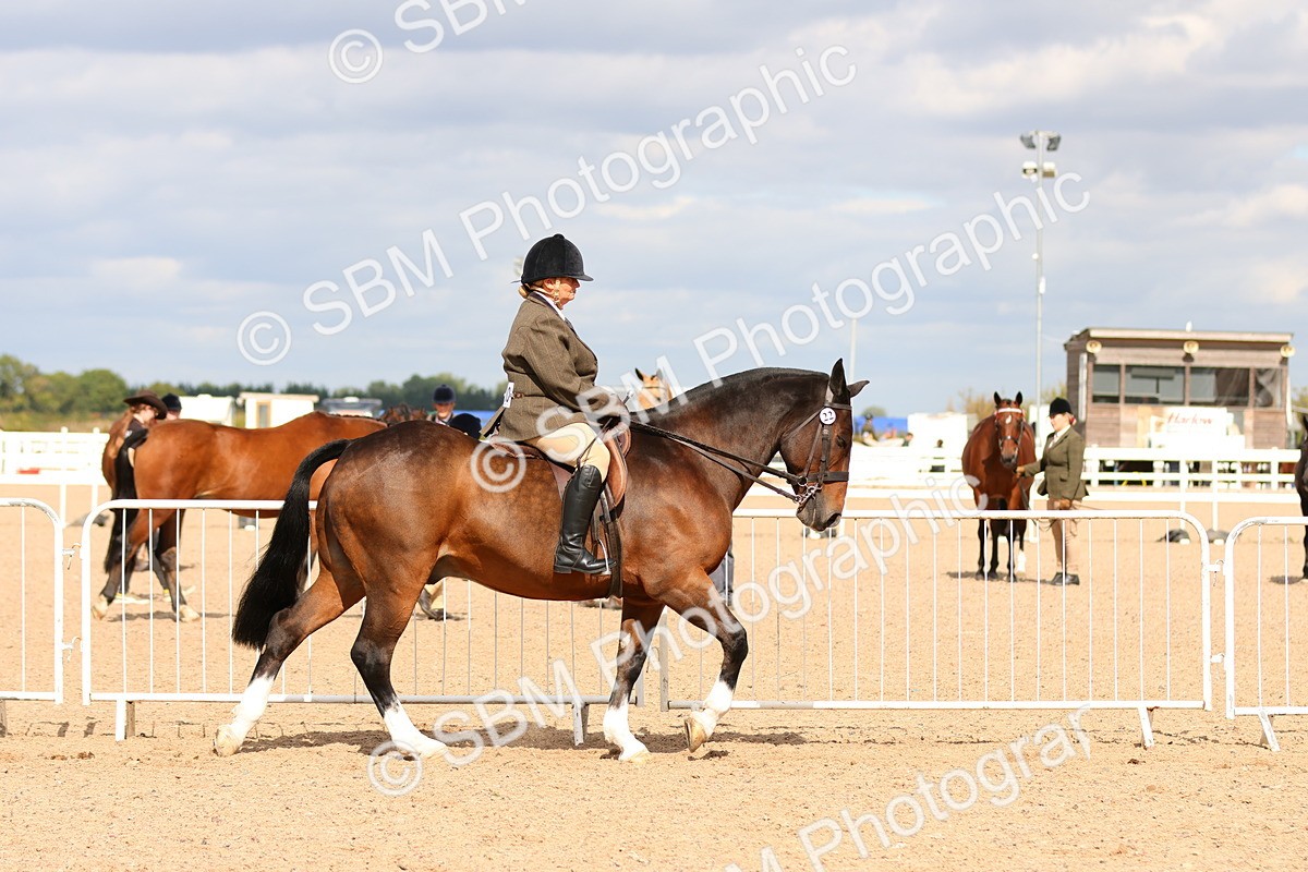 SBM_15461 - Class 214 - Ridden Show Cob