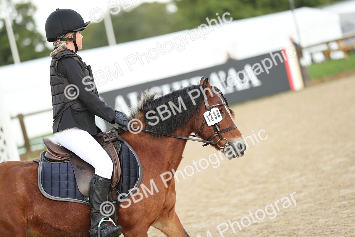 SBM_34150 - J60 Clear Round 50cm