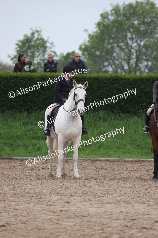 20260504-1138 - Class 14 - Cob and Hunter