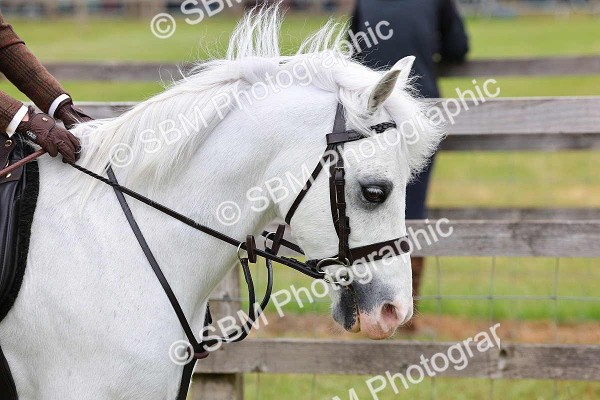 SBM_08457 - Class 42-43 - LIHS BSPS Heritage Working Sports Pony