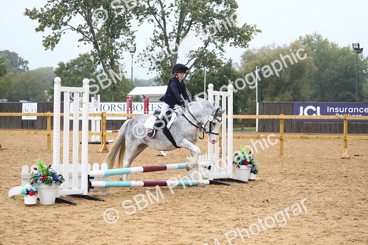 SBM_71690 - J4 - Mini Tour Junior Pony 45cm Championship