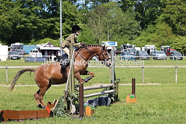 IMG_3637 - Working Hunter