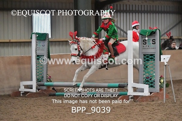 BPP_9039 - CLASS 3 50CM-70CM Pairs Show Jumping