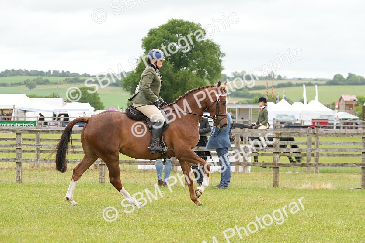 SBM_10614 - Class 97-98 - LIHS BSHA Rising Star Working Show Horse Hunter