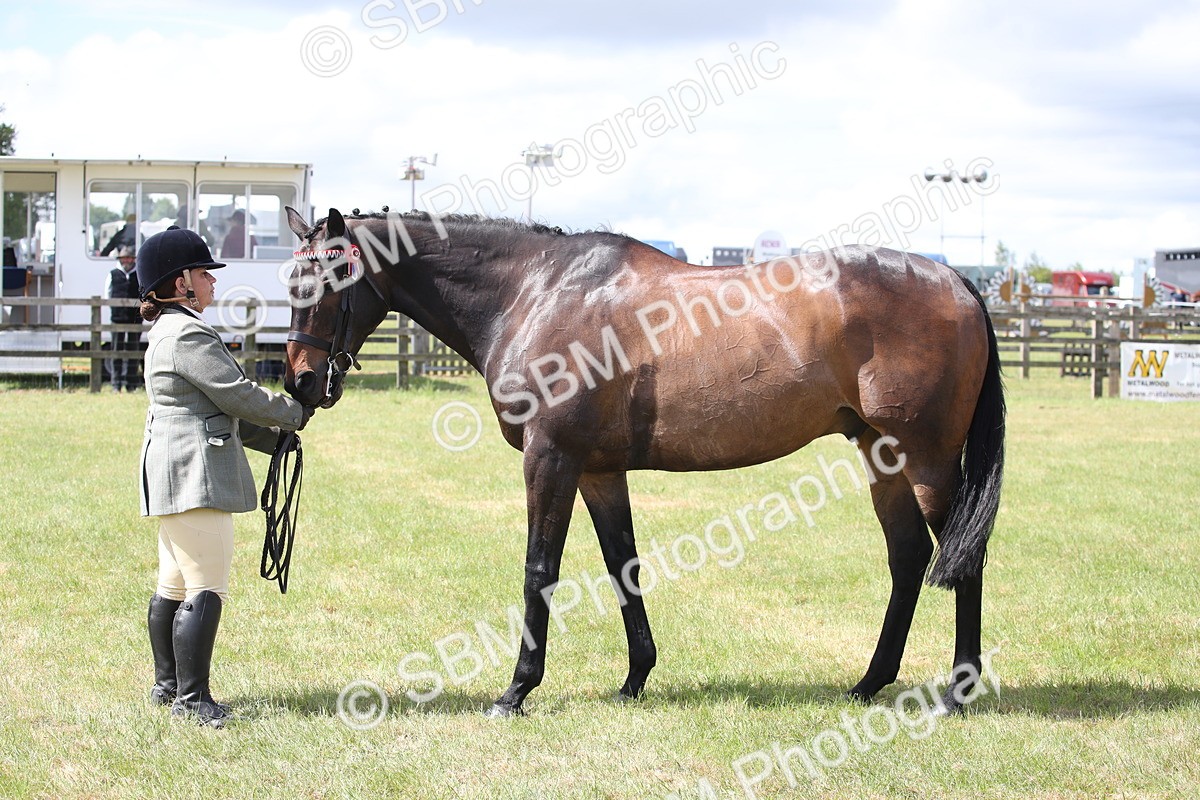 SBM_14222 - Class 113-114 - Retraining of Racehorses Ridden