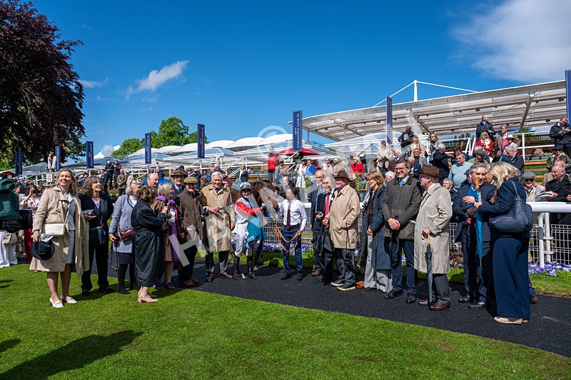 140526-Race 3-Maybe Not-1241 - Race 3 2.55pm Oakmere Homes Hambleton Handicap