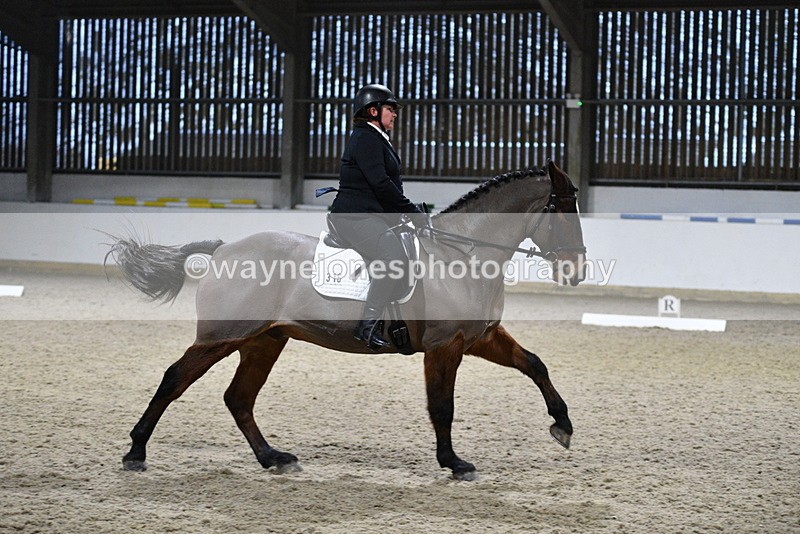 WJ5_0771 - Time 15:31 to 15:50