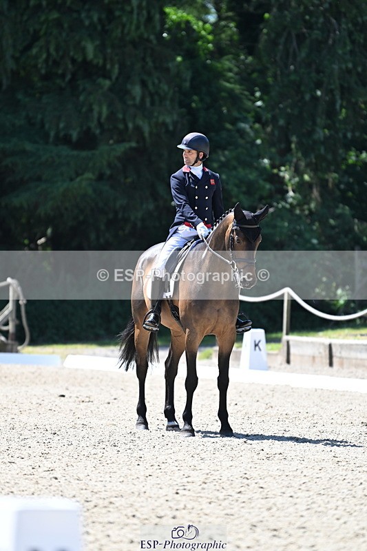 250522A-115957-03597 - C-205-Harry.Meade-IF.IN.DOUBT
