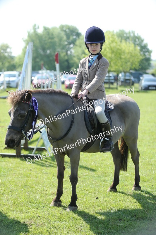 20250427-1195 - Class 1 - Mini Jumping Lead Rein or Assisted