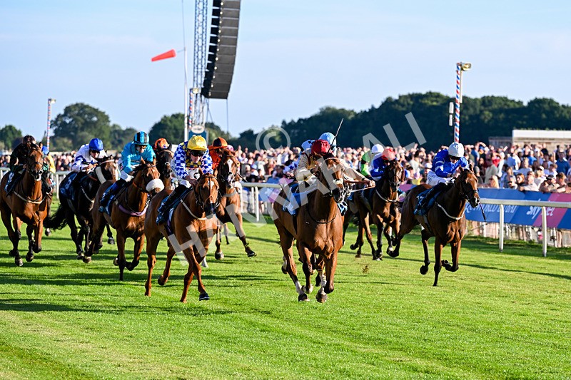 240726-Race 4-Rajaking-5331 - Race 4 19.15pm Tomahawk Handicap
