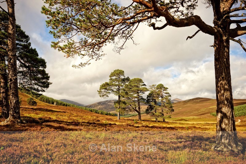 DSC06056 - Scottish scenes