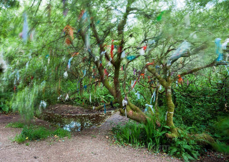 Madron Holy Well , Cornwall - Holy Wells and Sacred Springs