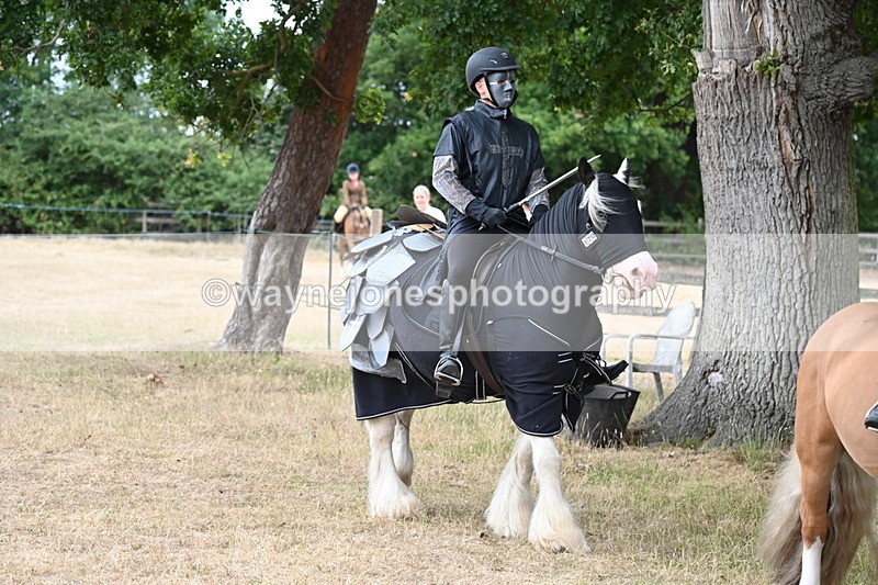 WJ6_8900 - Class 11 Fancy Dress
