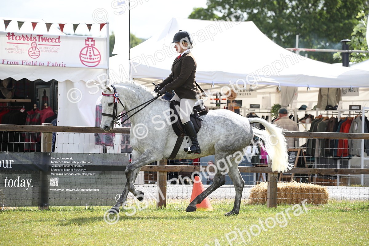 SBM_11520 - Class 95-96 - LIHS BSHA Rising Star Hack Riding Horse