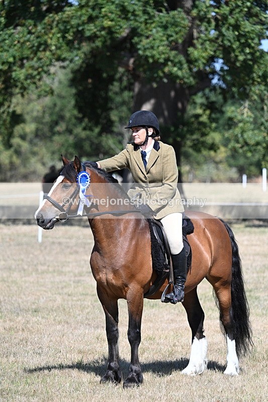 WJ7_4151 - Class 9 Mountain & Moorland Ridden
