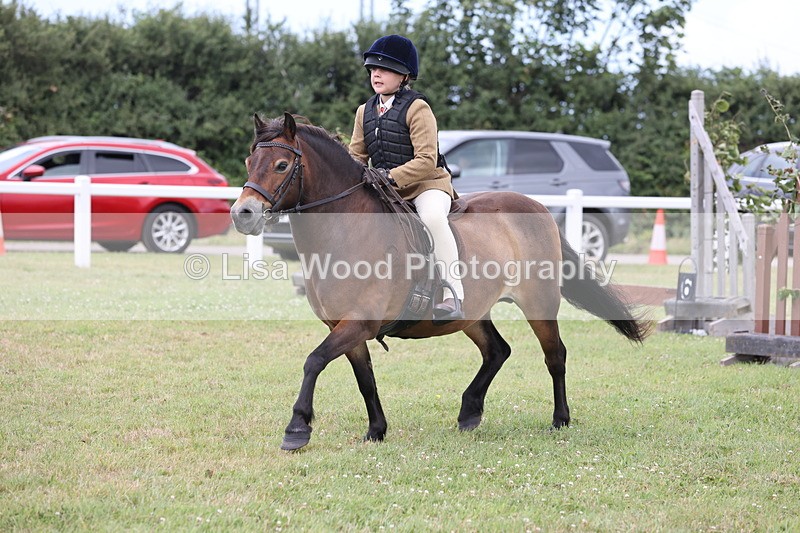 JPP_1773 - Class 18: Tiny Tots Working Hunter Pony