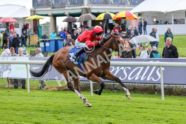 yr11052022r3-19 - Race 3 3.00pm 1895 Duke of York Clipper Logistics Stakes