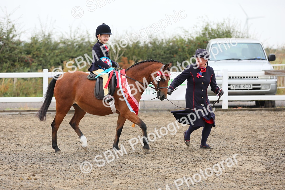 SBM_21904 - Class 806 - Young ridder 10 Yr & Under