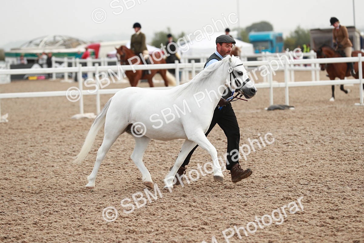 SBM_09597 - Class 201 Best Turned Out IH