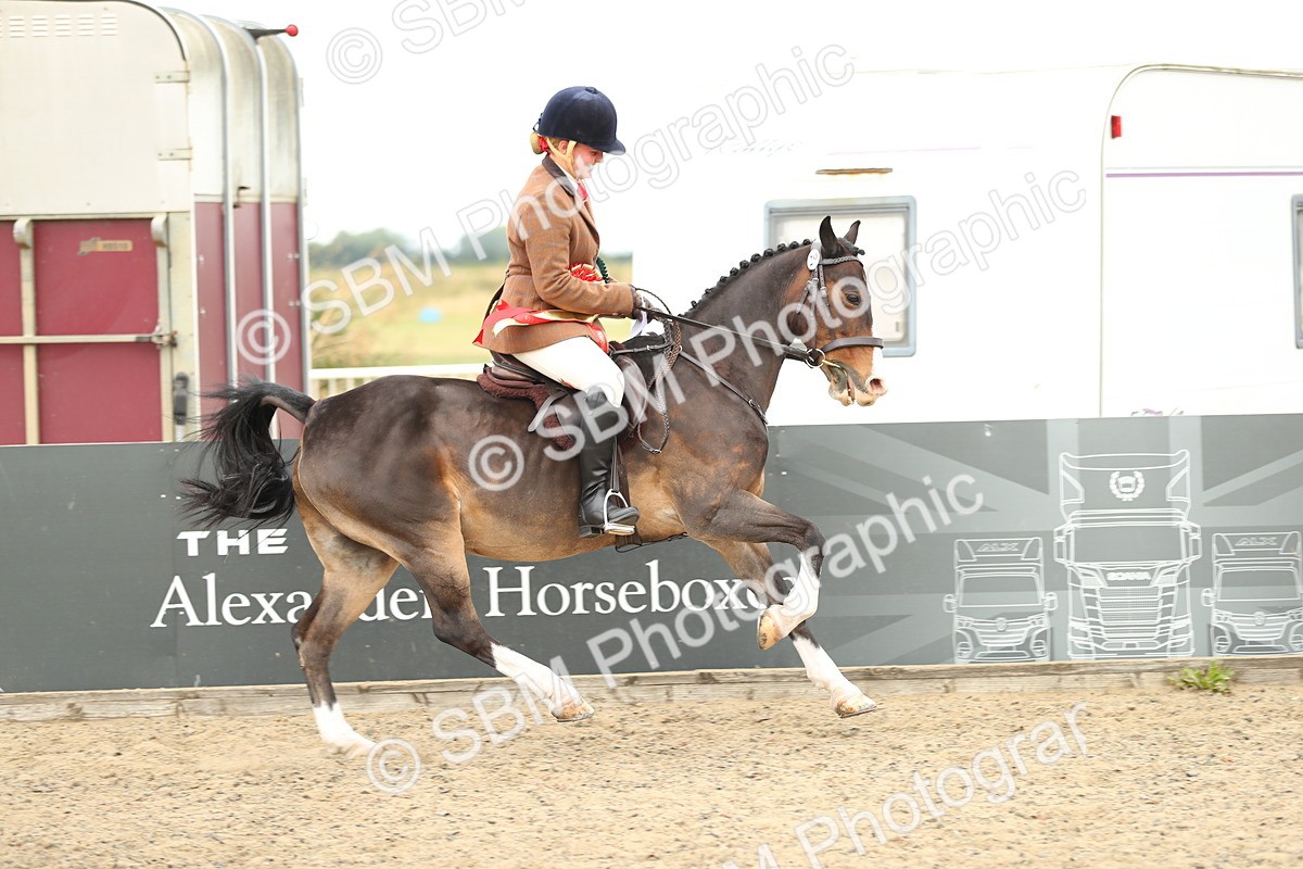 SBM_05286 - Class 47b Style & Performance 60cm (20+)