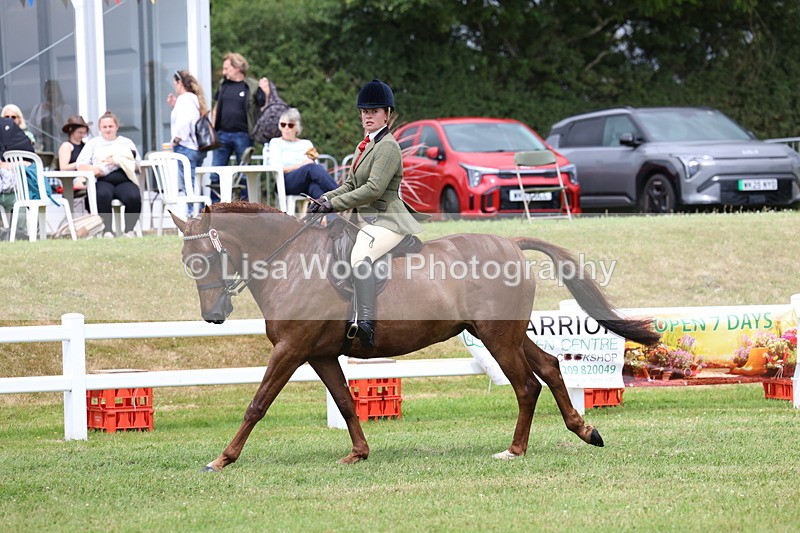 3E7A0945 - Class 8: Open Riding Horse/Hack