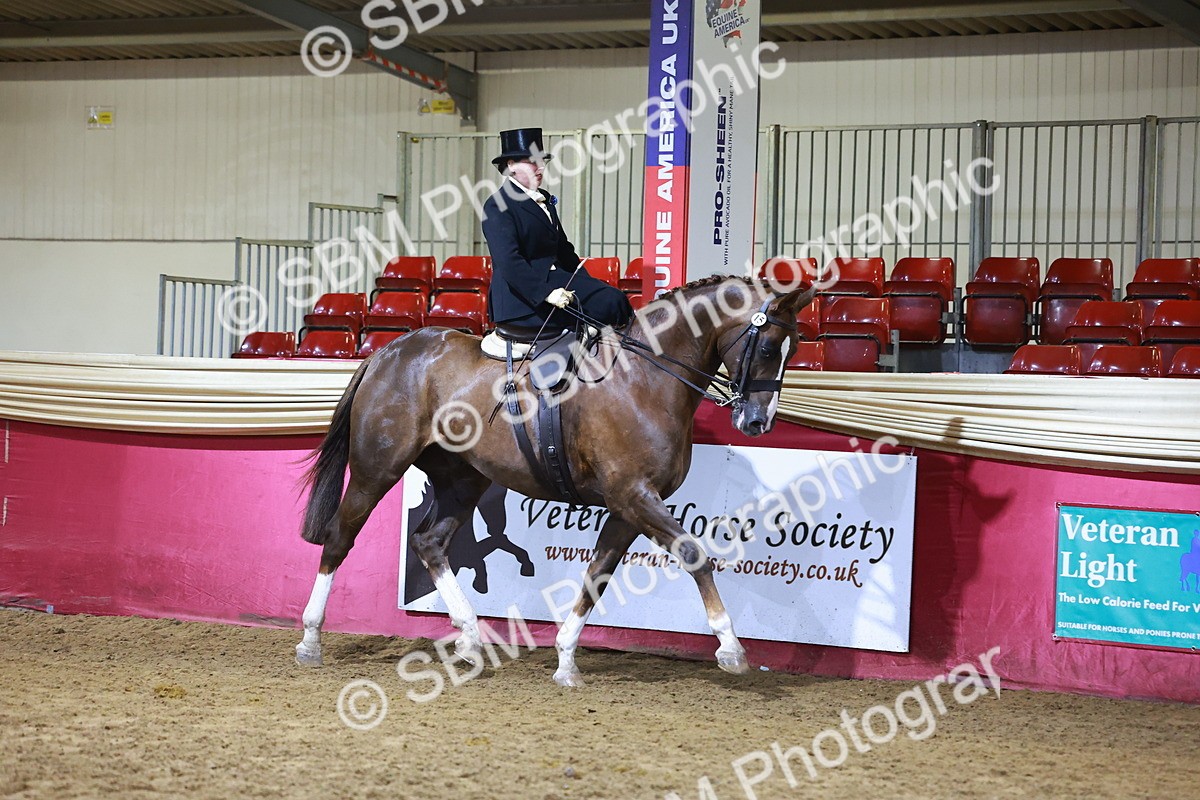 SBM_15384 - Class Q - Ridden Horse Champ