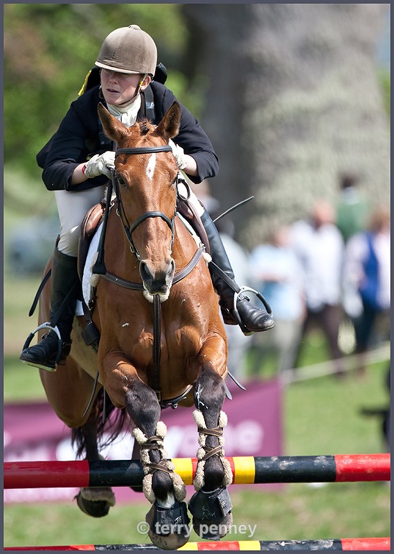 Powderham Castle 3 - Equestrian Sport