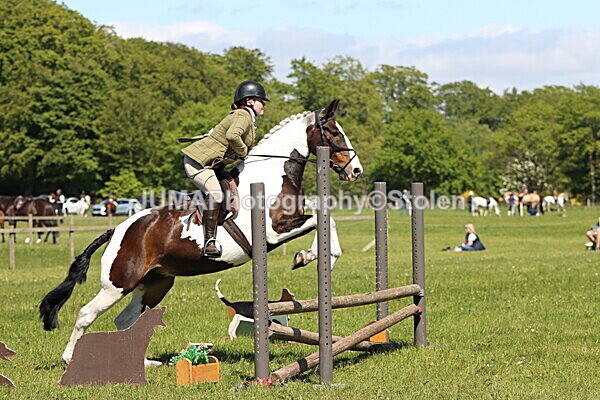 IMG_4091 - Working Hunter