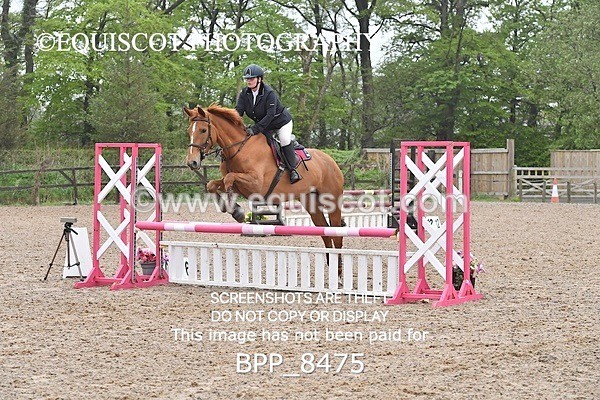 BPP_8475 - CLASS 22 SUN Club/ Unaffiliated 80cms Open