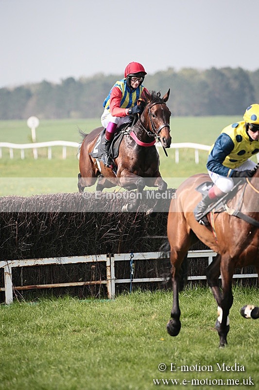 PtP 210418 421 - South & West Wilts Point-to-Point Larkhill 21/04/18