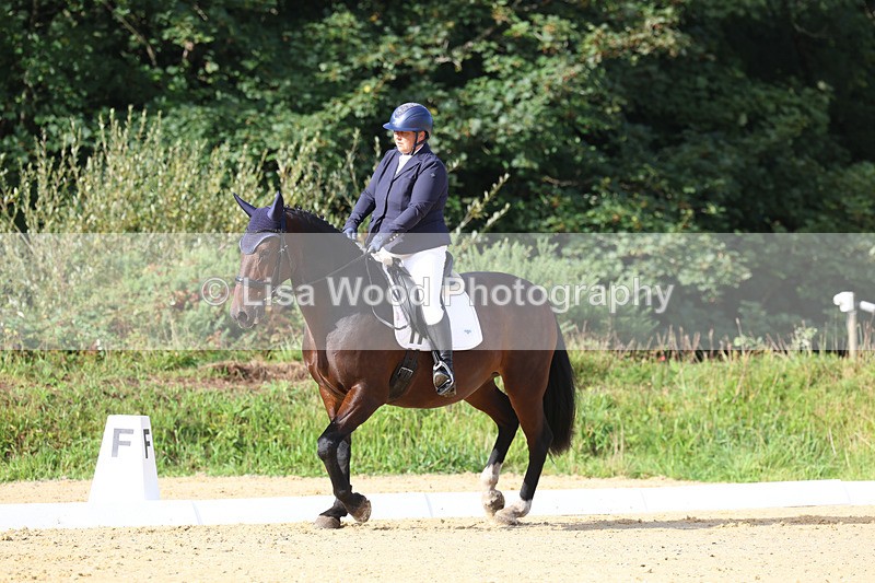 3E7A2037 - Class 1: Intro 4 2024 section A