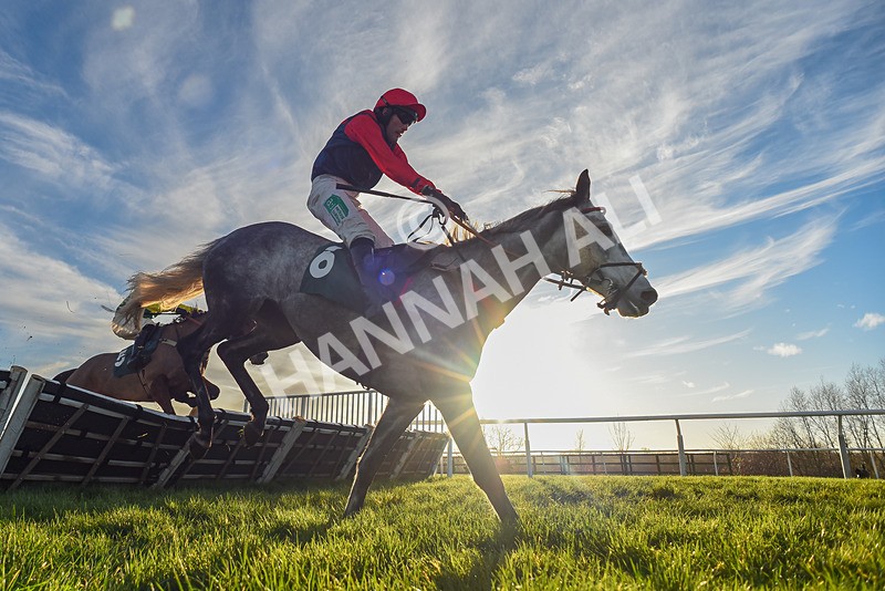 161225-Race 5-Somebodycomegether-7744 - Race 5