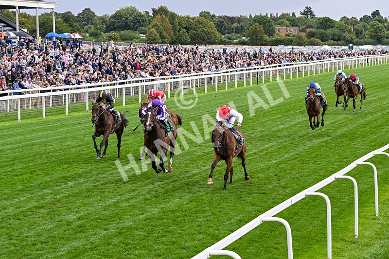 210826-Race 2-Al Nayyir-0139 - Race 2 14.25pm Weatherbys Lonsdale Cup Stakes