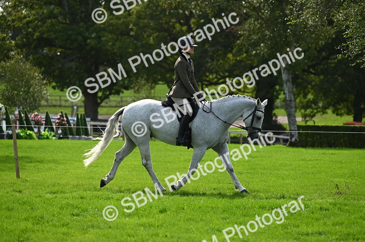SBM_02622 - S3 - TSR Ridden Pony Showing