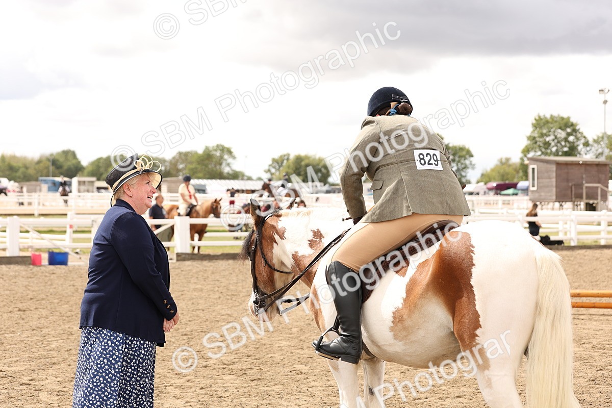 SBM_05197 - Class 56b -  Style & Performance - 50cm (20+)