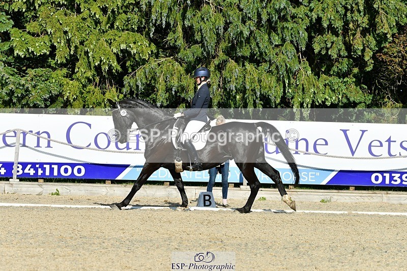 230623-174717-01614 - Cls 8 Medium 73Q