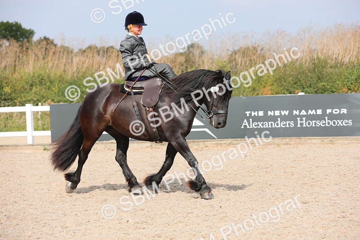 SBM_14650 - Class 211 Best Side Saddle Horse/Pony