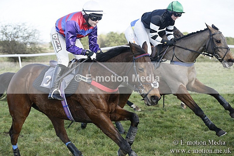PtP 070118 -260 - Larkhill Racing Club Point to Point Larkhill 07/01/2018