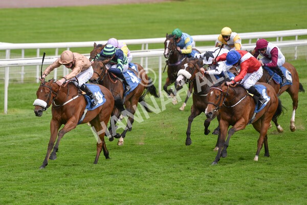 yr14052021r1-24 - Race 1 1.40pm Langleys Solicitors British EBF Marygate Fillies' Stakes