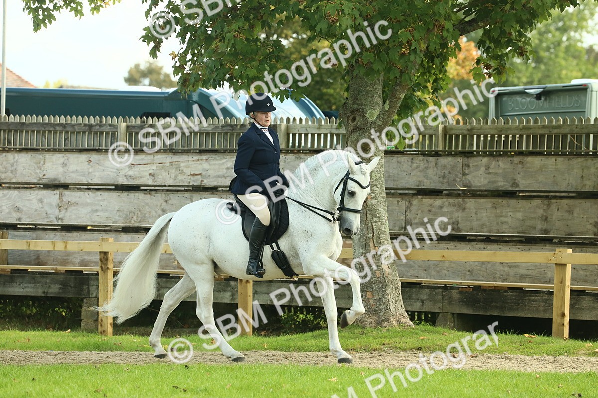 SBM_62450 - S62 - Foreign Breeds Ridden