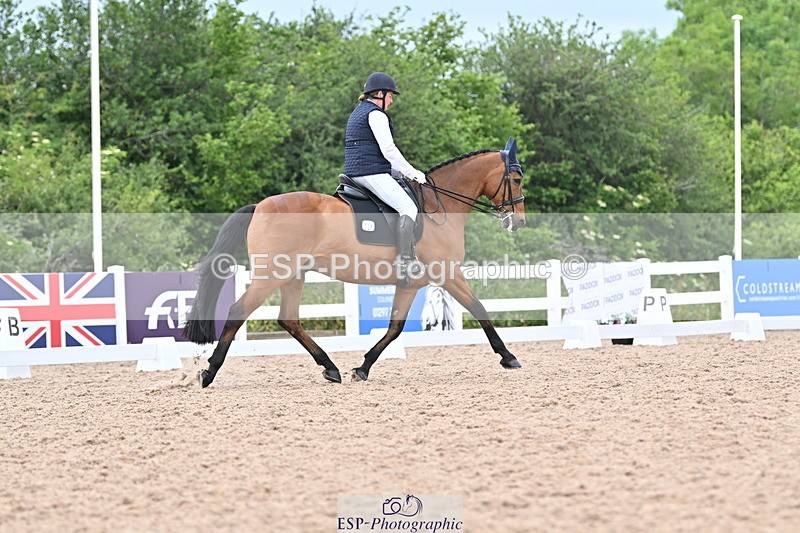 ESP_1541 - Cls 51 BD Elementary 53