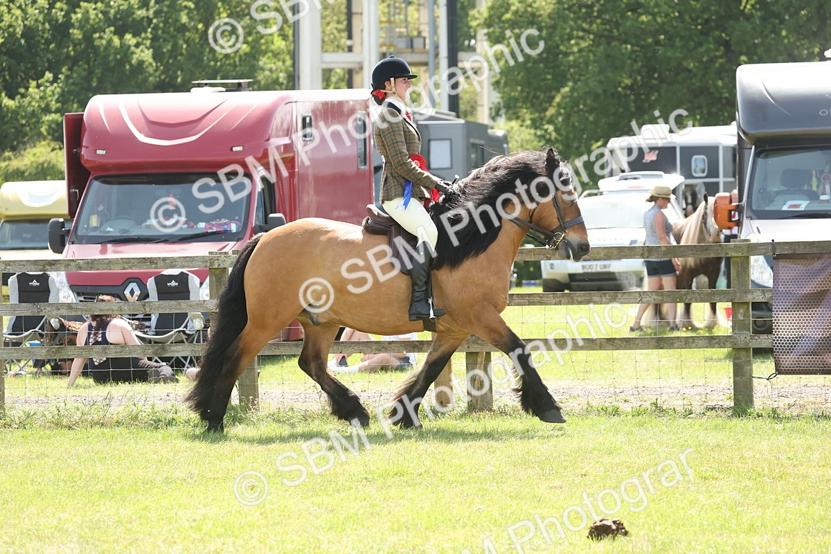 SBM_07751 - Class 26-30 - Mountain and Moorland Ridden