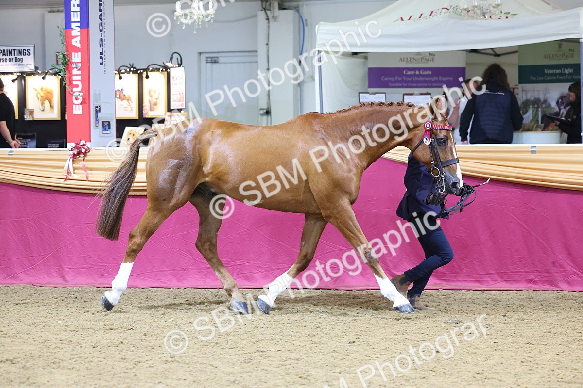 SBM_21005 - Class 902 - Supreme Final IH Veteran