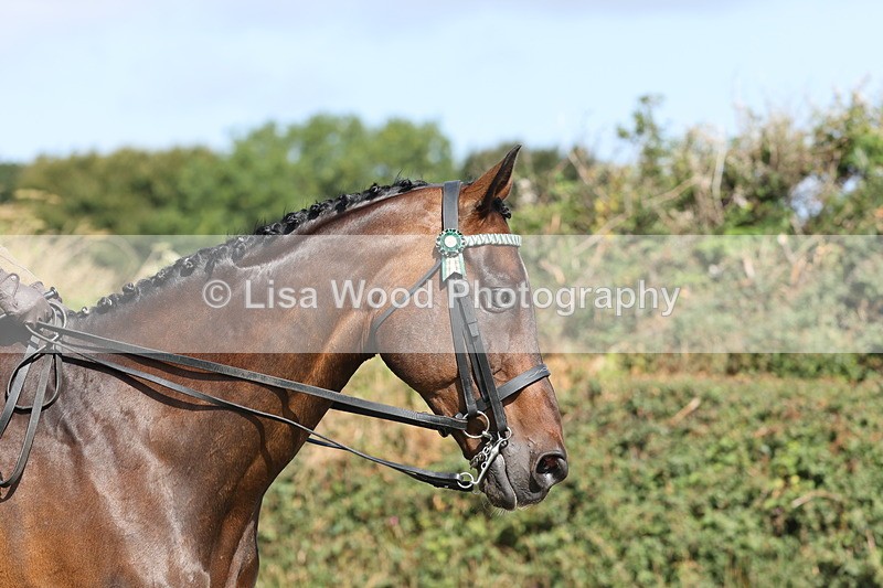 JPP_1067 - Class 17: Cornish Combination Open