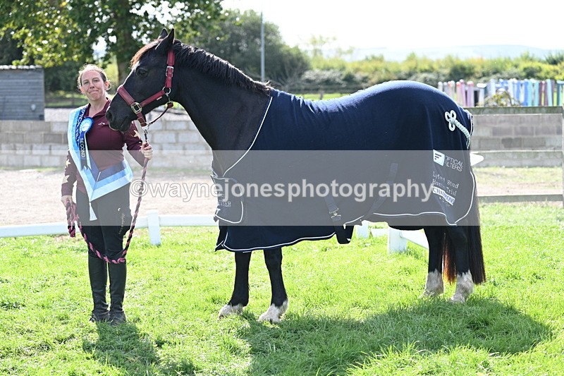 WJ7_1723 - 80cm Champs