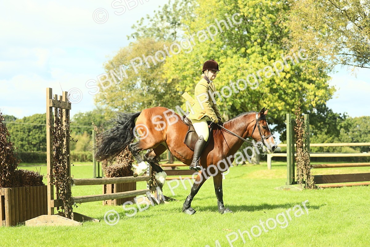 SBM_42971 - S30 - M&M Working hunter Pony