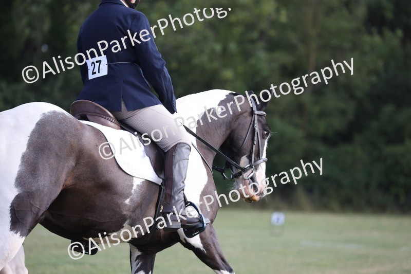 20250731-0042 - Class 2 - Prelim 3