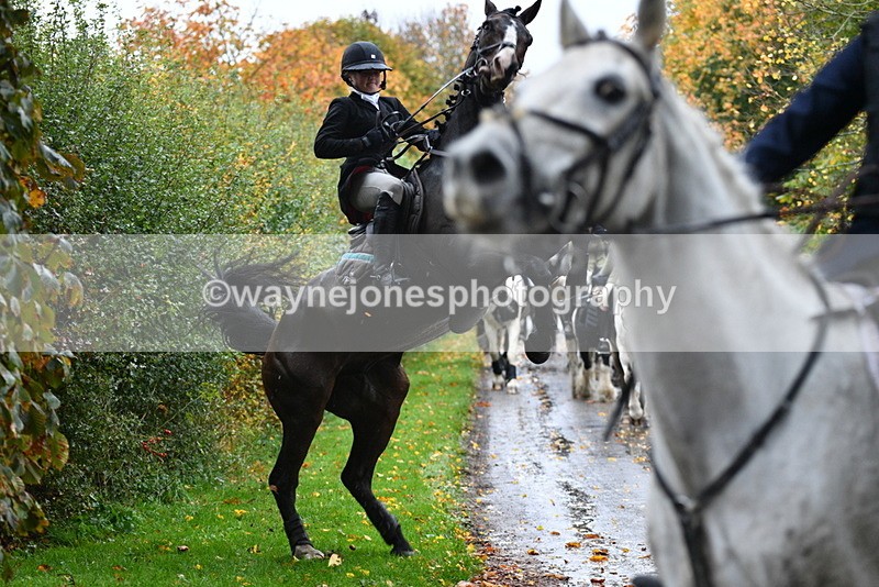 WJ5_6284 - B&B walk back for Hunt Tea !
