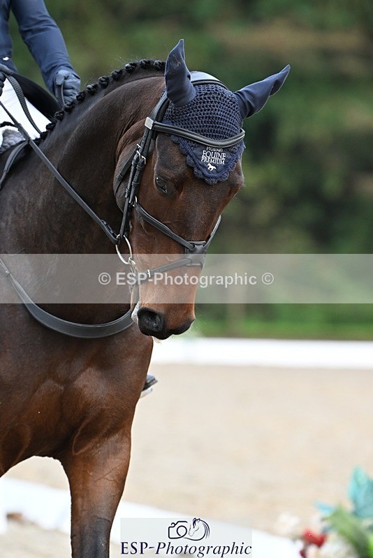 231019-100134-01308 - 030-MONBEG.SHELBY-Kat.Raybould-DR